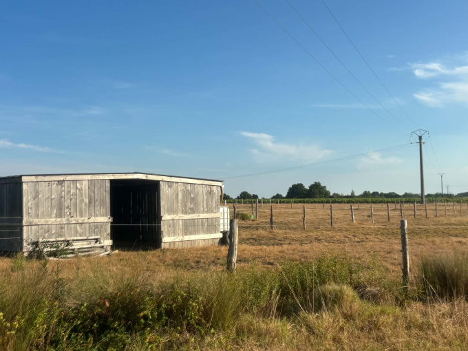 Offres de vente Terrain agricole Le Pallet (44330)